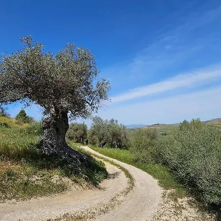 Casa Virgilio Sicilia E Campagna בית נופש Cattolica Eraclea